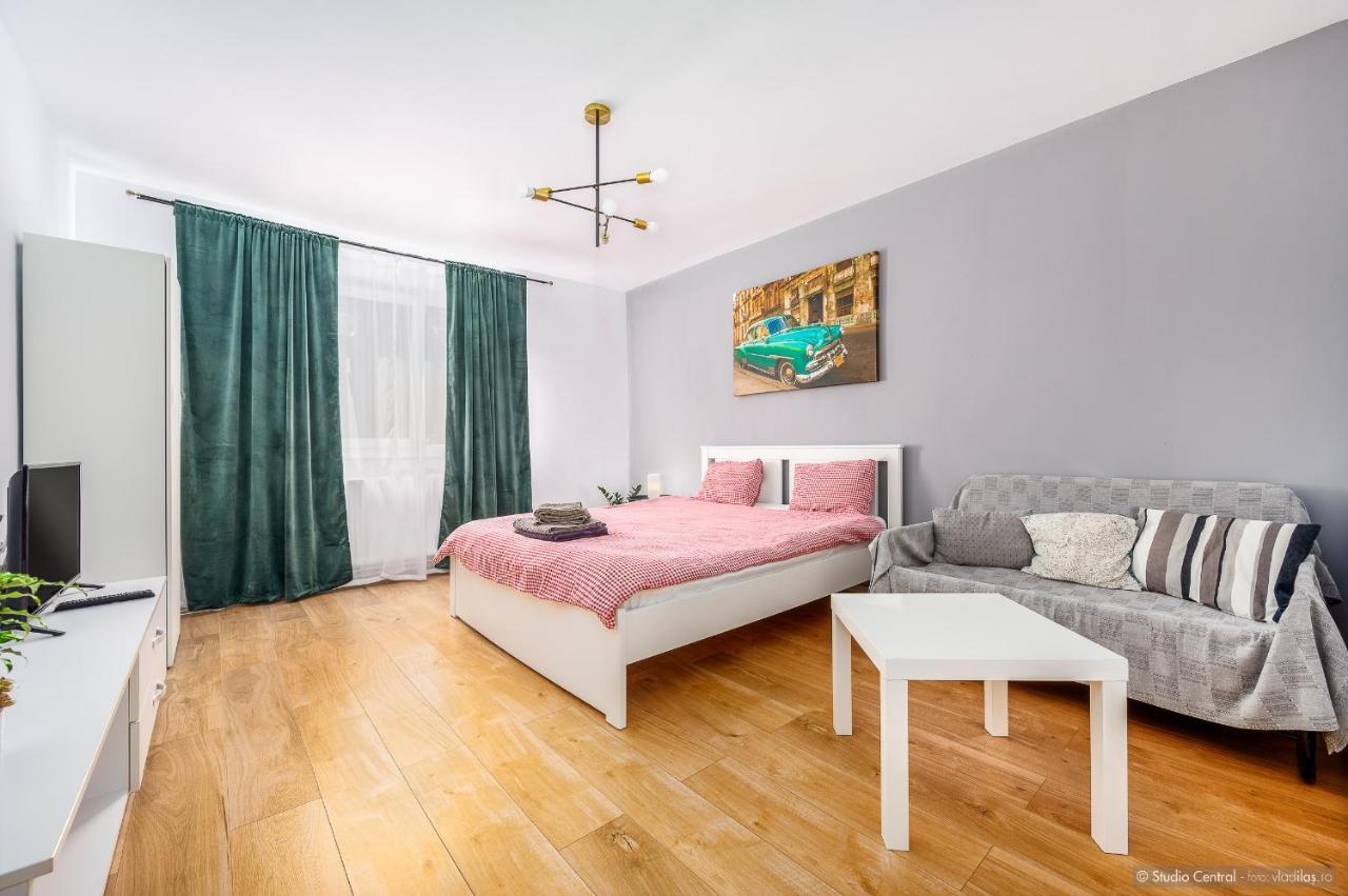 Studio Central Гура-Гуморулуй Экстерьер фото