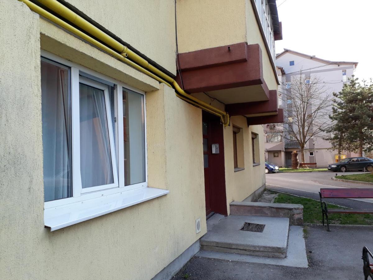 Studio Central Гура-Гуморулуй Экстерьер фото